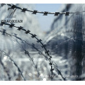 Barbed Wire Fencing Razor Barbed Wire Galvanized Concertina Razor Wire Supplier